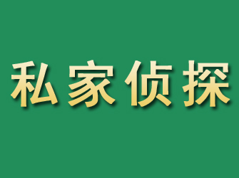 沙市市私家正规侦探