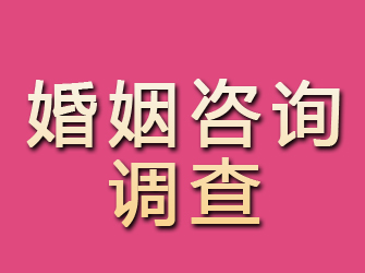 沙市婚姻咨询调查